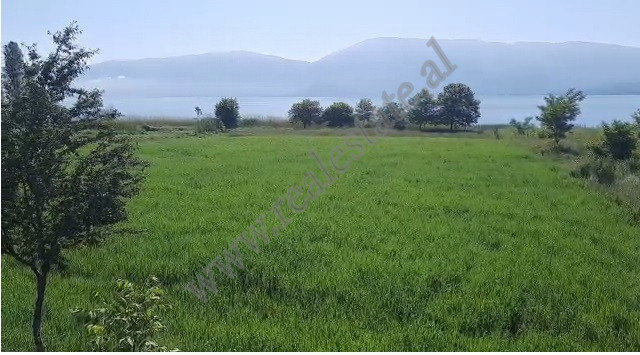 Land for sale near Ohri Lake in Pogradec, Albania